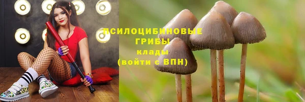 гашик Зеленодольск
