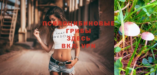 гашик Зеленодольск