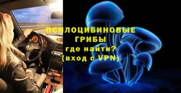 меф Инта