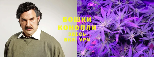 гашик Зеленодольск