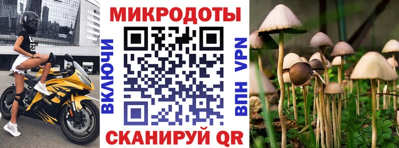 Купить  Жуков  Псилоцибиновые грибы Magic Shrooms 